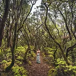 בית נופש Isla De Tenerife Tegueste
