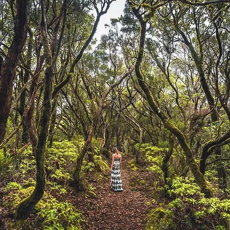 Holiday home Isla Tenerife Tegueste